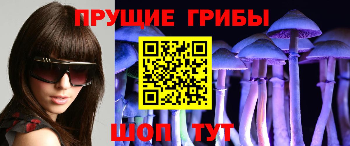 Сургут  Псилоцибиновые грибы GOLDEN TEACHER  Вход с VPN 